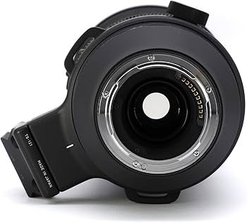 Amazon.com: Sigma 150-600mm F5/-6.3 DG DN for L Mount : Sports