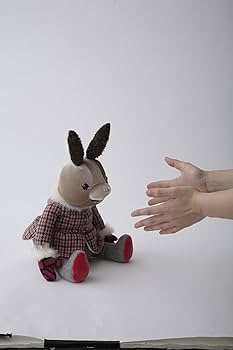 71XE6xA-QkL._AC_UF350,