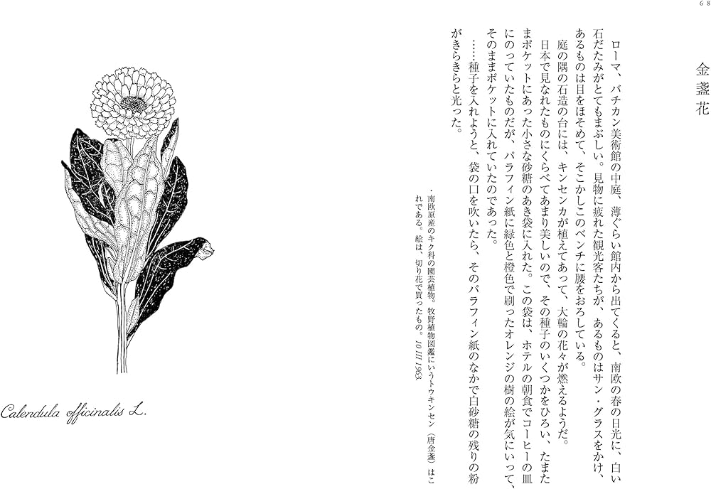 71XhA-hz27L._AC_UF1000,