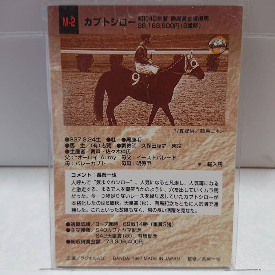 Amazon.co.jp: 競馬 カード サラブレッドカード97 Memorial