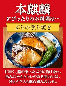 Amazon.co.jp: 本麒麟 キリン ビール500ml×48本 発泡酒新ジャンル 2