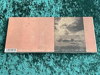 Amazon.co.jp: ☆ドレスコーズ☆サイン入り/ライブ会場限定配布