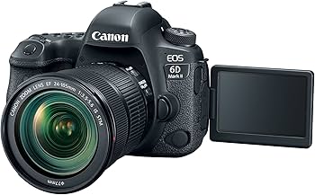 Amazon.com : Canon EOS 6D Mark II with EF 24-105mm is STM Lens