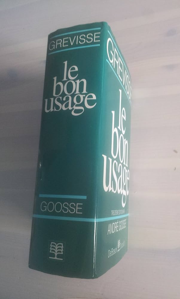 Amazon.com: Le Bon Usage (French Edition): 9782801110454: Lagarde
