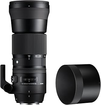 Amazon.com : Sigma 150-600mm F5-6.3 DG OS HSM Zoom Lens