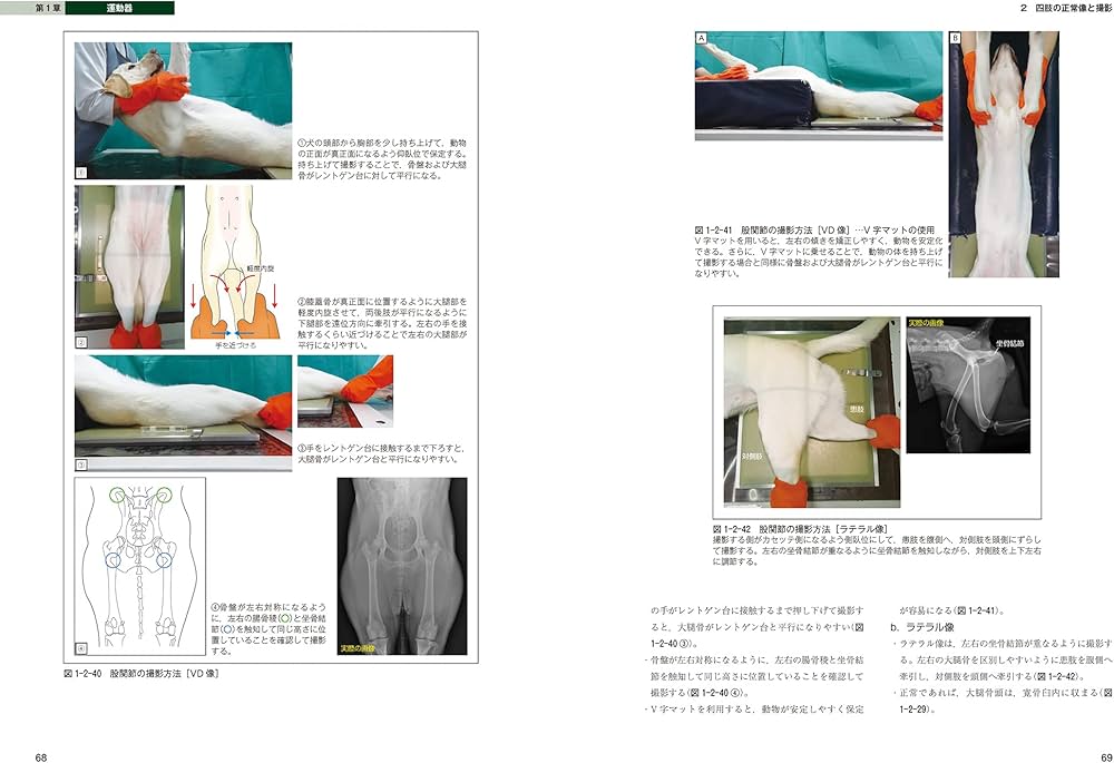 犬と猫のベーシック画像診断学 骨と関節/頭部/脊柱/内分泌器官編