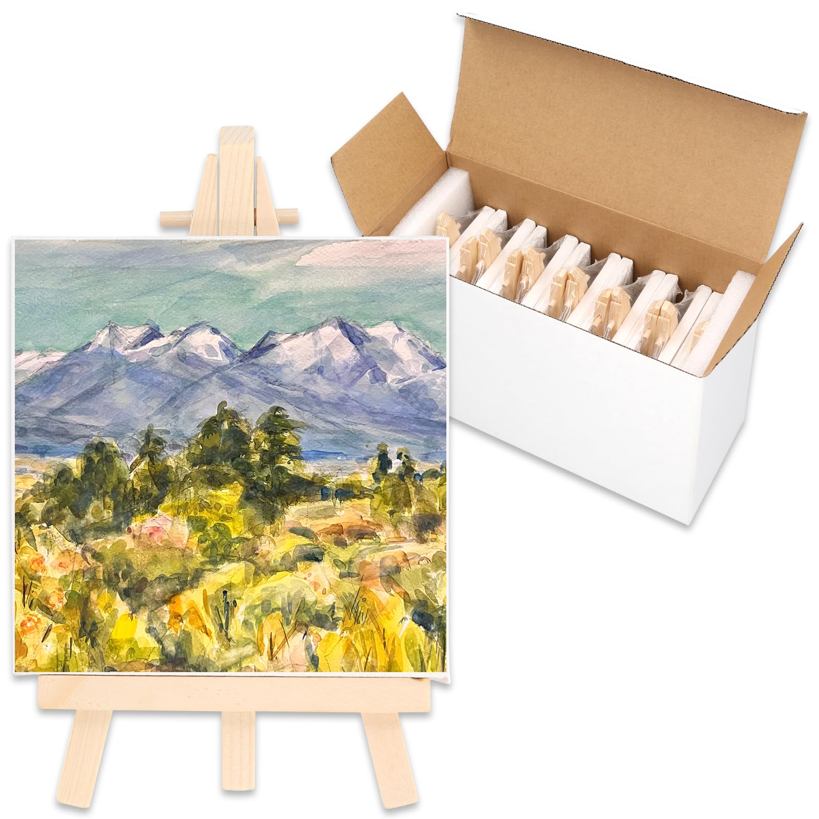 Amazon.co.jp: ミニキャンバス 絵画 【株式会社FSI】芸術絵創作 現代