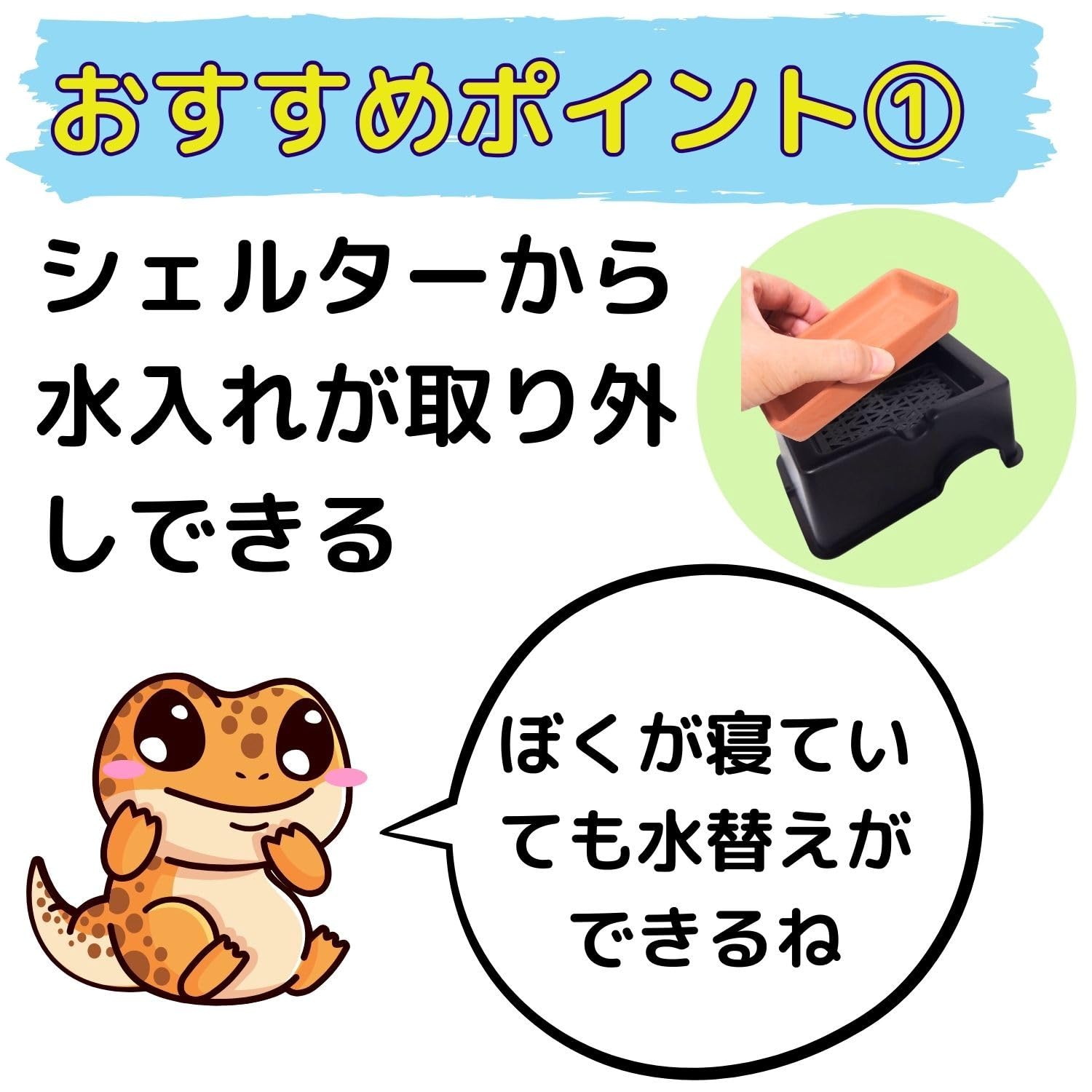 Amazon.co.jp: PRUNCRUN ウェットシェルター レオパ カビにくい 隠れ家