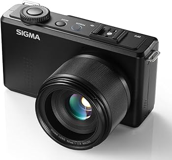 Amazon.com : Sigma C79900 DP3 Merrill Digital Camera with Foveon