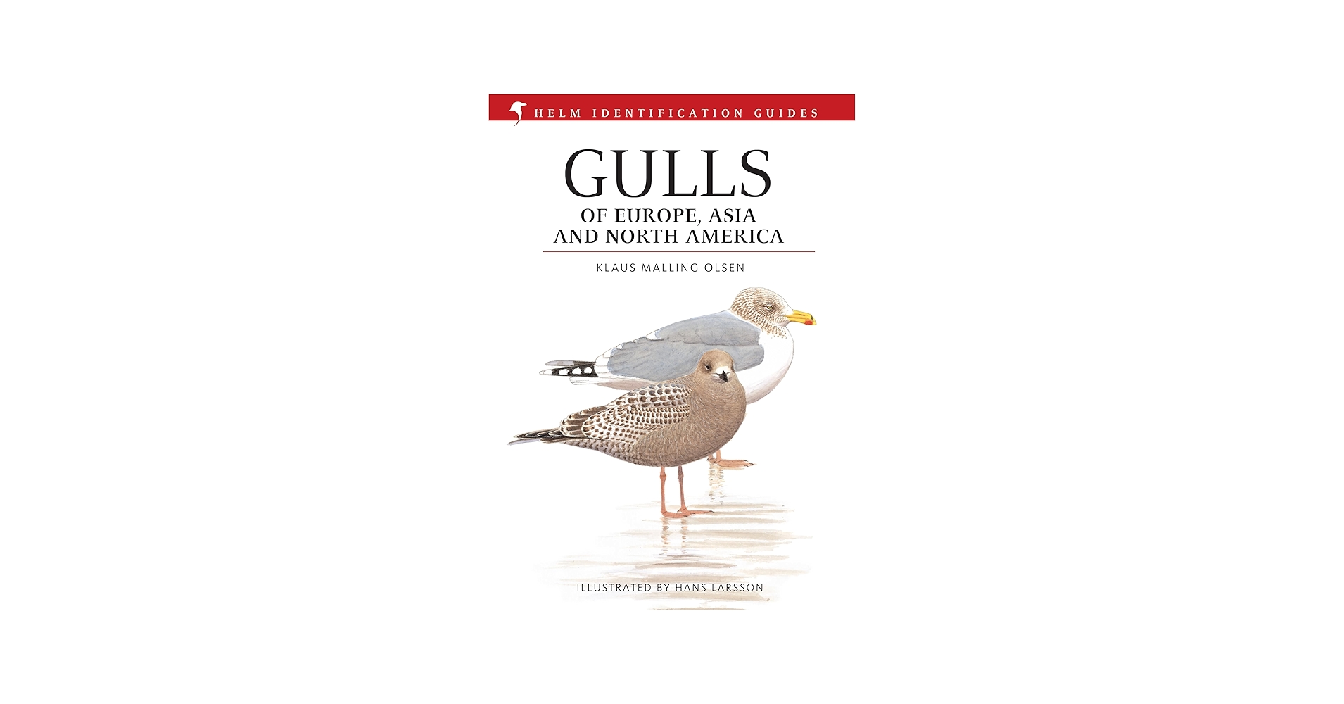 Gulls of Europe@ Asia and North America (Helm Identification