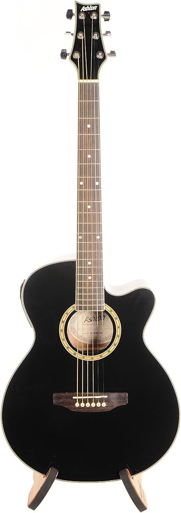 Amazon | Ashton アシュトン SL Series SL29CEQBK Slim-Line Acoustic