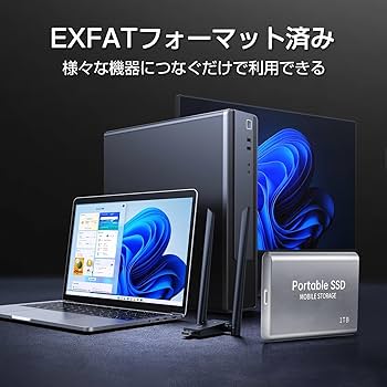 Amazon | 外付け SSD 30TB ポータブルSSD 高速SSD アップグレード 外