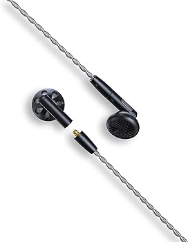 Amazon.co.jp: FiiO FF5【国内正規店販売品】イントラコンカ型