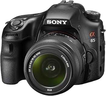 71B2FbctdKL._AC_UF350,