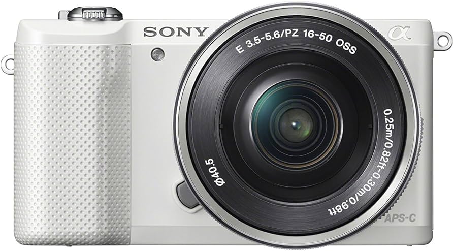 Amazon.com : Sony Alpha a5000 20.1MP SLR Camera (White) : Electronics