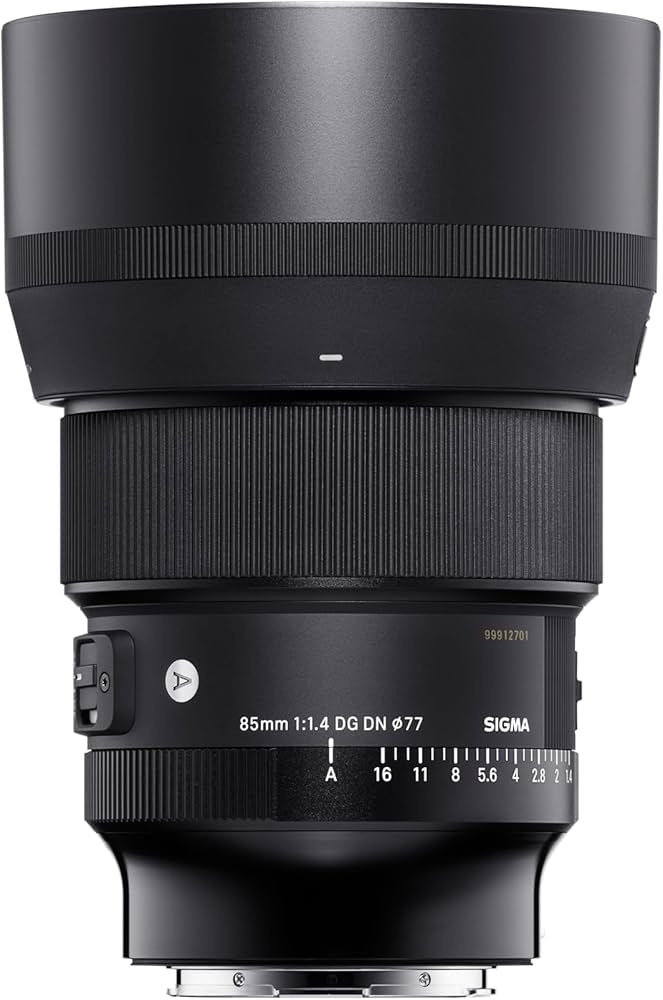 Amazon.com : Sigma 85mm F1.4 DG DN Sony E (322965), Black