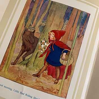 71BwZGtNYVL._AC_UF350,