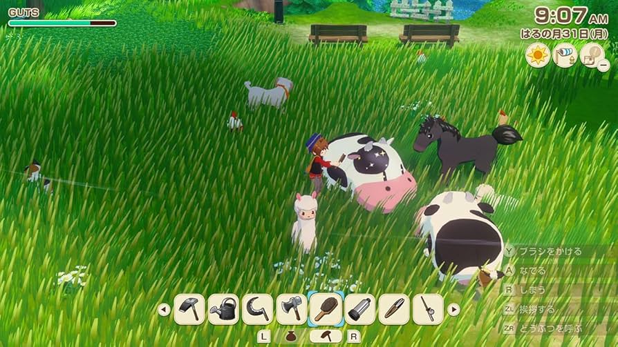 牧場物語 Let's! 風のグランドバザール -Switch : Amazon.com.au: Toys