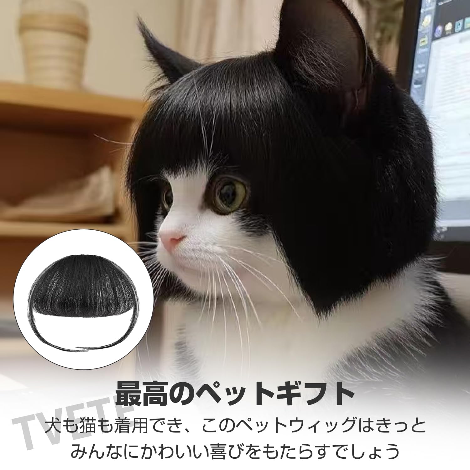 Amazon | TVETE ペットウィッグ 猫の前髪 面白い 変装グッズ ペット服