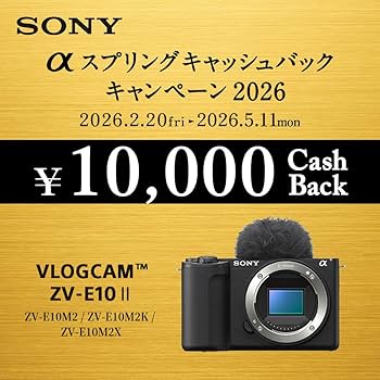 Amazon | SONY(ソニー) 【ZV-E10M2X と 急速充電チャージャー セット