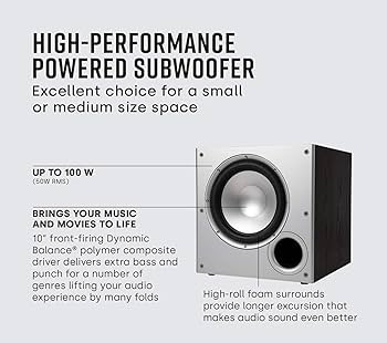 Amazon.com: Polk Audio PSW10 10
