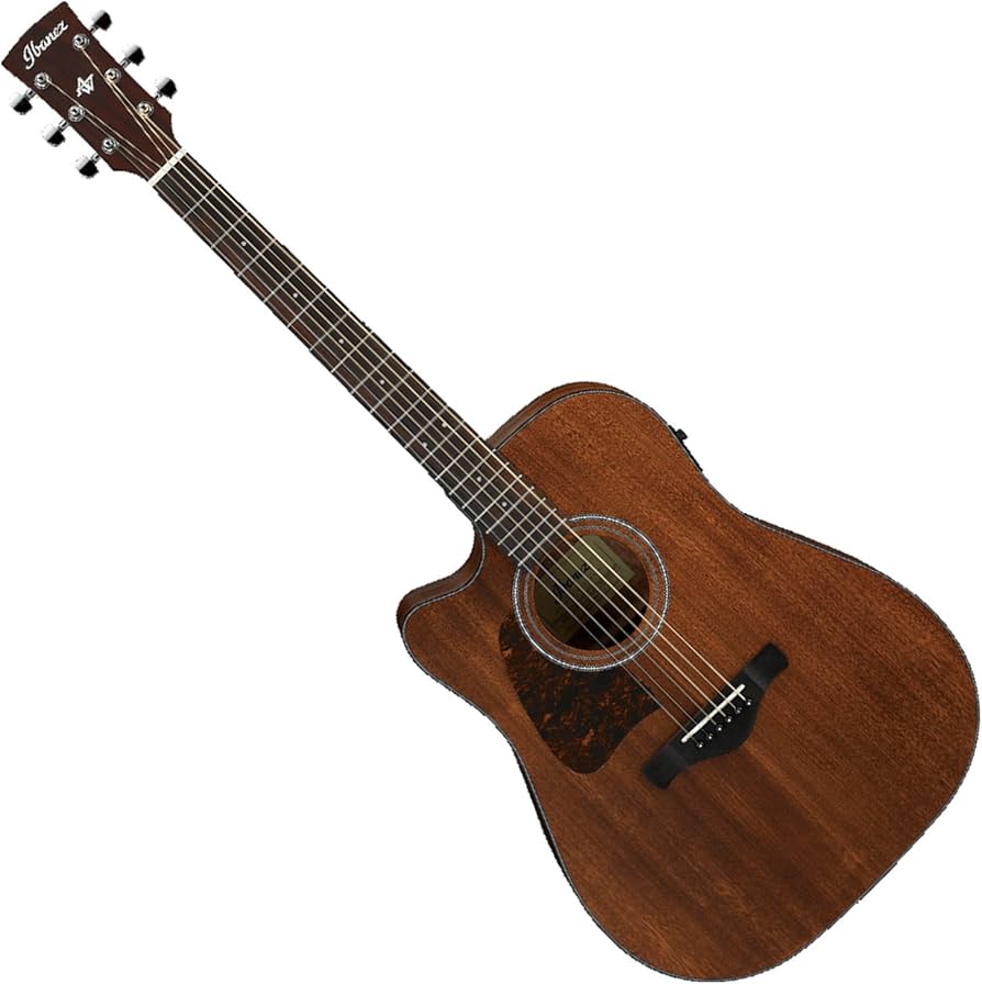 Amazon.com: Ibanez AW54LCE - Open Pore Natural : Musical Instruments