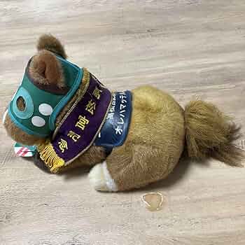 71DSZ4dqxsL._AC_UF350,