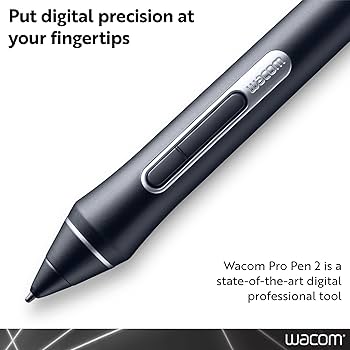 Amazon.com: Wacom KP504E Pro Pen 2 with Case, Black Cintiq