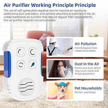 Amazon.com: Air Ionizer for Home, Negative Ion Generator, Plug In