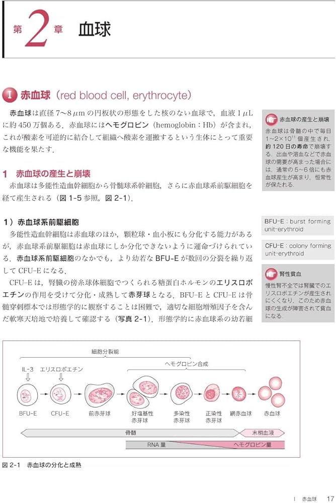 最新臨床検査学講座 血液検査学 第2版 | 奈良 信雄 |本 | 通販 | Amazon