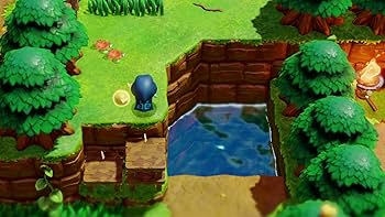 Amazon.co.jp: ゼルダの伝説 知恵のかりもの - Switch : ゲーム