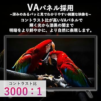 Amazon | 山善 テレビ Wチューナー 液晶 24インチ ハイビジョン QRTN