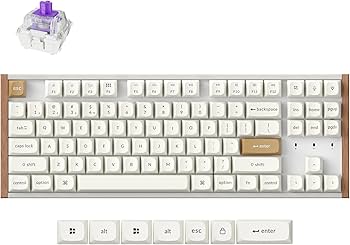 Amazon.com: Keychron K8 HE TKL Hall Effect Wireless Mechanical