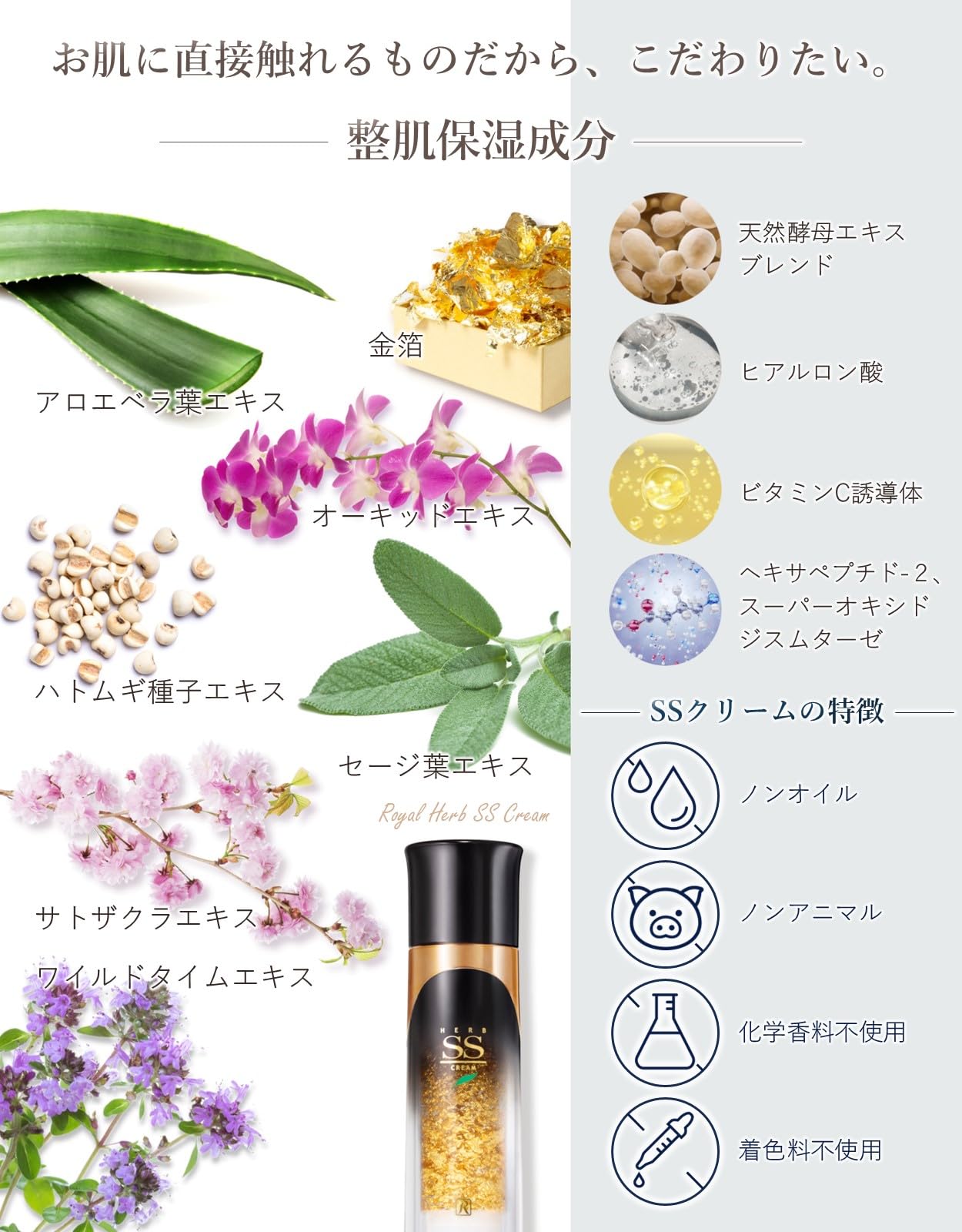 Amazon | ロイヤル化粧品 ロイヤルハーブ SSクリーム 50g 保湿 純金箔