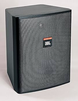 Amazon.com: JBL Professional Control 25AV Compact Indoor/Outdoor
