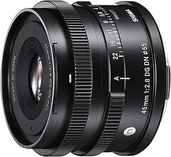 Amazon.com : Sigma 45mm F2.8 Contemporary DG DN Lens for Sony E