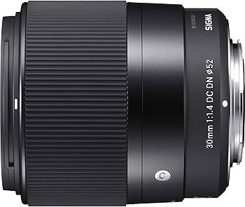 Amazon.com : 30mm F1.4 DC DN | C for EF-M Mount : Electronics