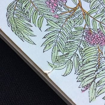 Amazon.co.jp: 植物 イラスト 花 フラワー 洋書 本 英語 ボタニカル