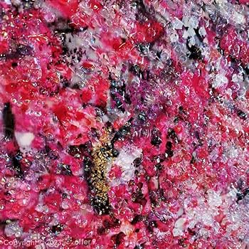 Amazon.co.jp: アートパネル 水晶絵 アートフレーム 壁掛け パネル 桜