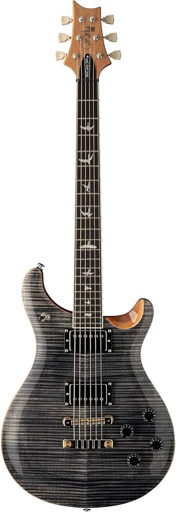 Amazon | SE McCARTY 594 Charcoal | エレキギター | 楽器・音響機器