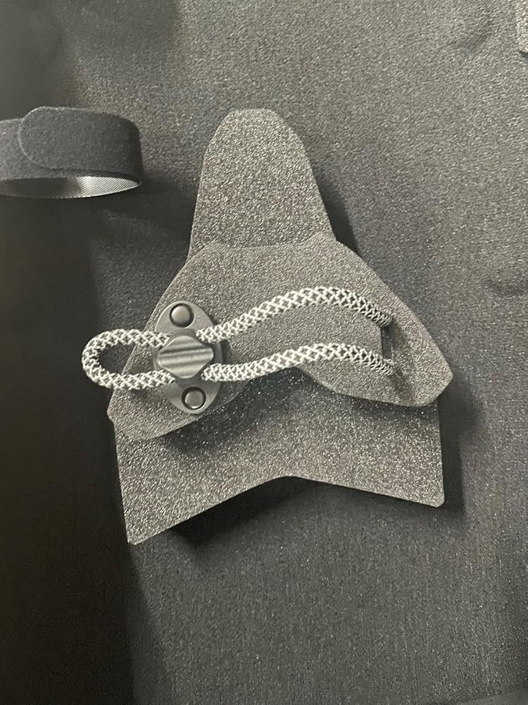 Amazon.co.jp: Lion ライオンカーボン バイオリンケース ソリッド