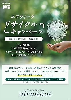 まりさま専用【☆2025年12月購入☆】エアウィーヴ T-LINE シングル