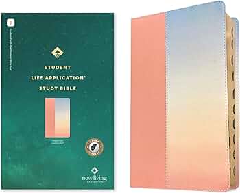 71HHsujsvtL._AC_UF350,