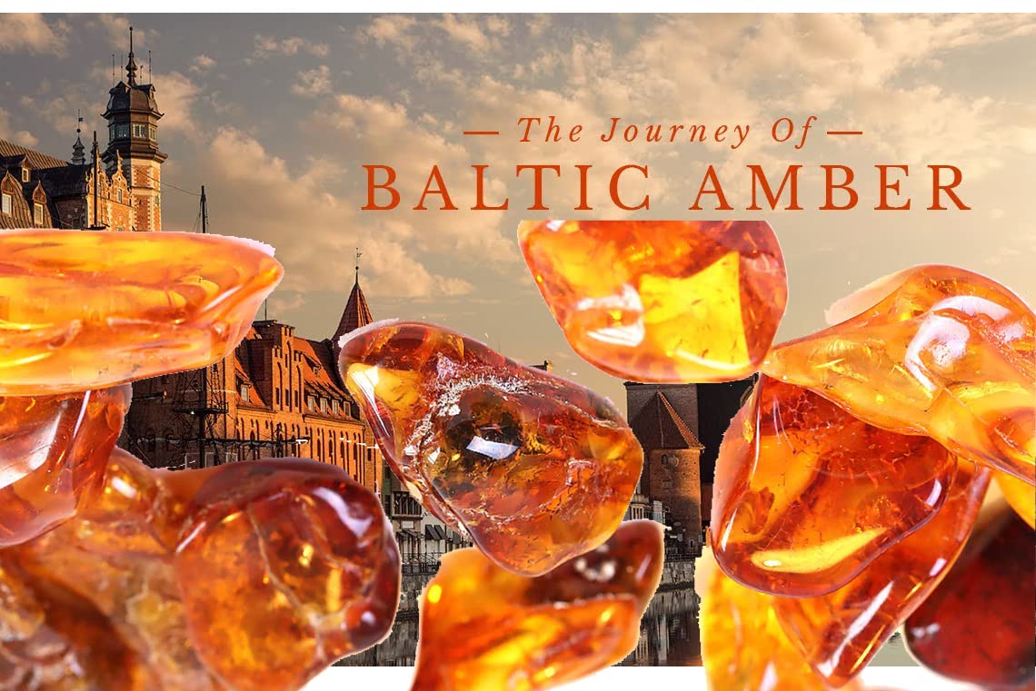 Amazon | TOKYO SCIENCE 琥珀 Amber「琥珀 アンバー(樹脂の化石) Amber