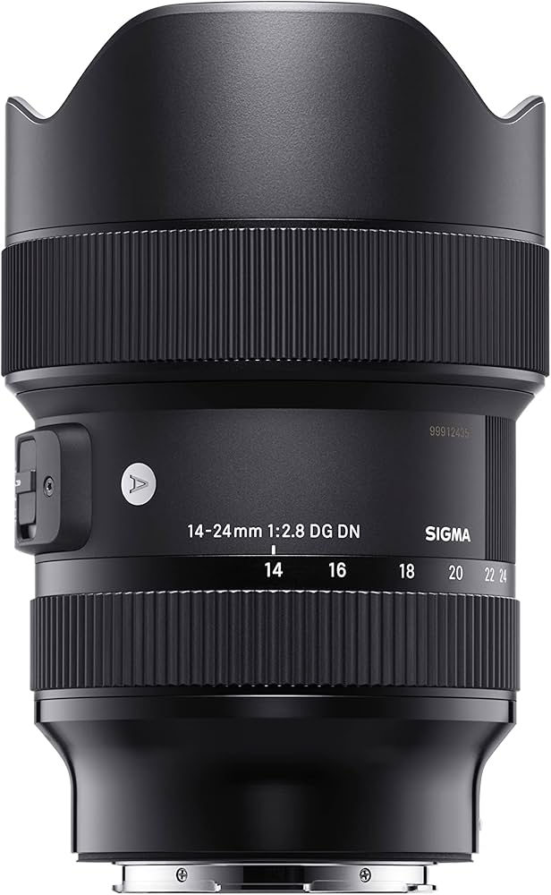 Amazon.com : Sigma 14-24mm F2.8 DG DN Sony E Mount (Renewed