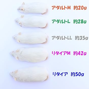 Amazon | 冷凍マウス ピンクマウス M 20匹 国産 SAfarm | SAfarm