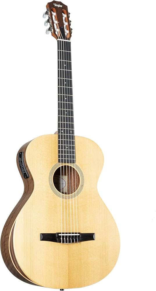 Amazon.com: Taylor Academy 12e-N Nylon-string Acoustic-electric
