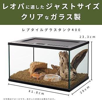 Amazon | スドー レオパ飼育セット キット 爬虫類 ヤモリ ガラスケージ
