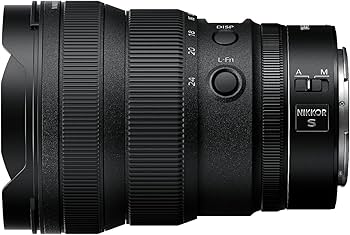 Amazon.com : Nikon NIKKOR Z 14-24mm f/2.8 S | Professional large