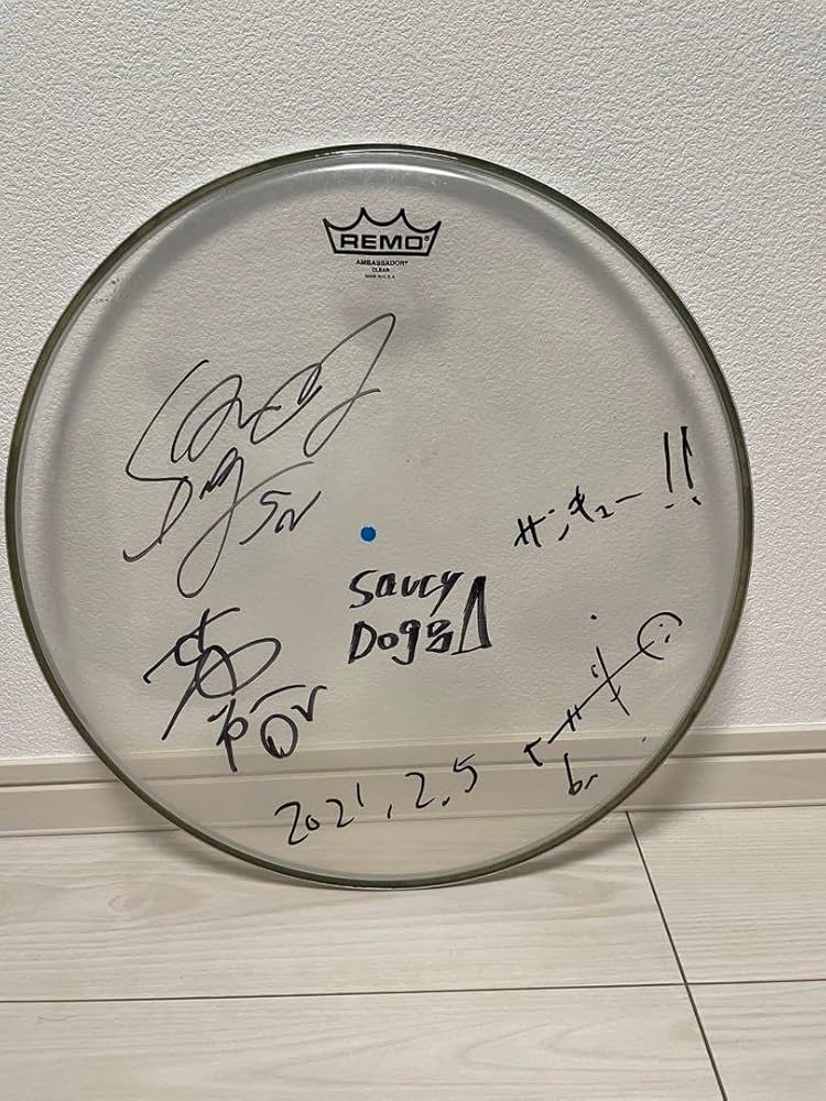 Amazon.co.jp: Saucy Dog ドラムヘッド サイン入り : おもちゃ